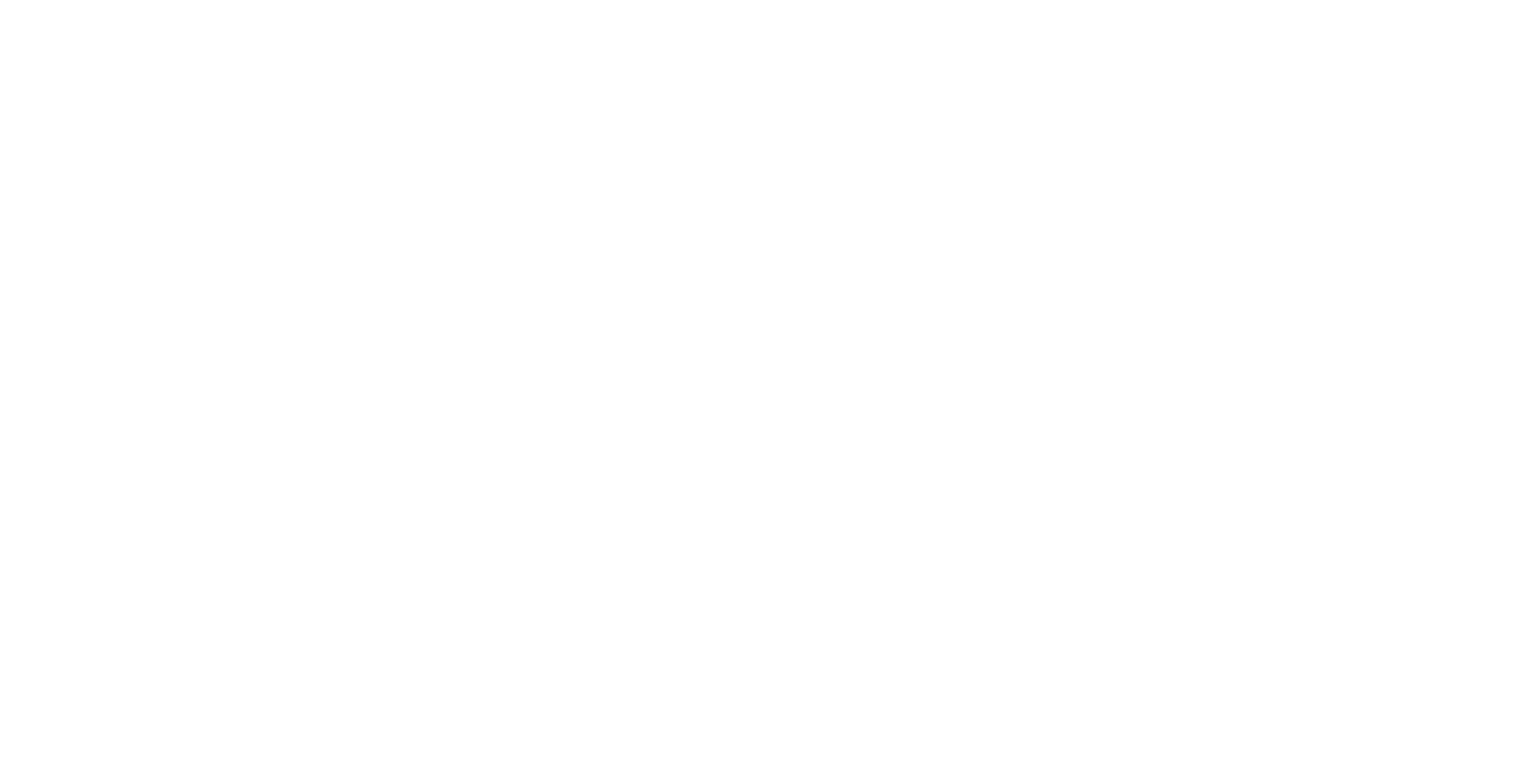 Ñandú Chipacería